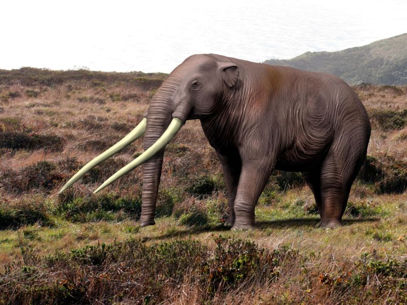 Scienziati cileni hanno scoperto i resti di un elefante di 12.000 anni