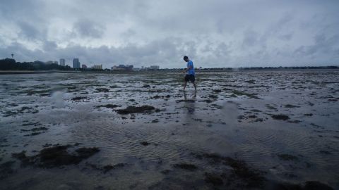 A man walks where water was receding from Tampa Bay on Wednesday.