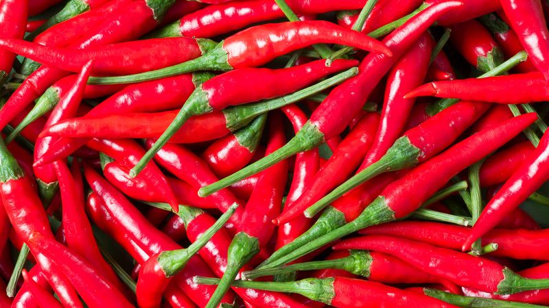 Spicy Food Plus Menu at Tiffany Fitch blog