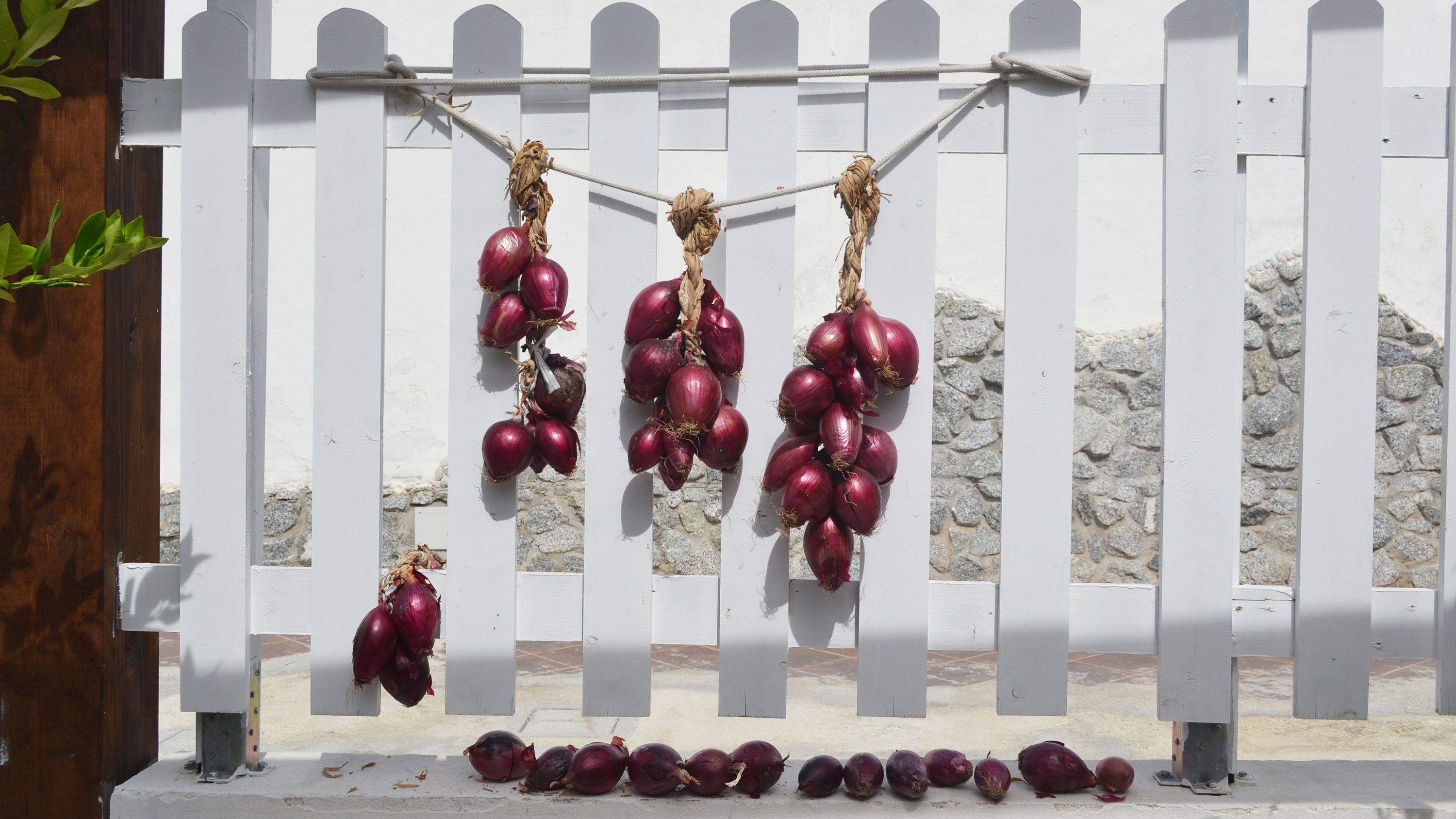 Tropea porta cipolla - Objets trouvés - Caleido