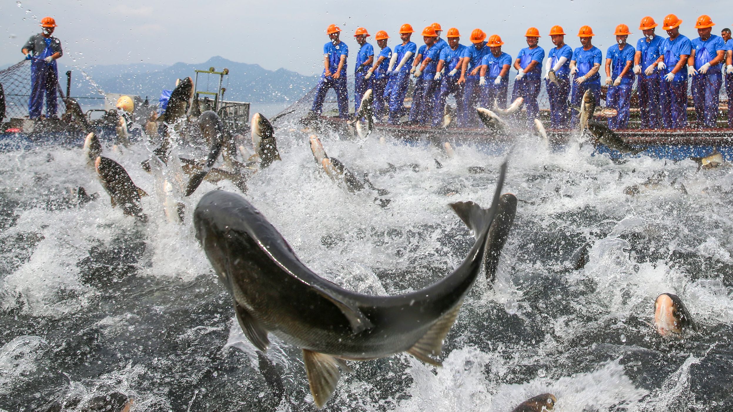 Fishermen pull a huge fishing net on Qiandao Lake during a harvest festival in Chun'an, China, on Thursday, September 22.