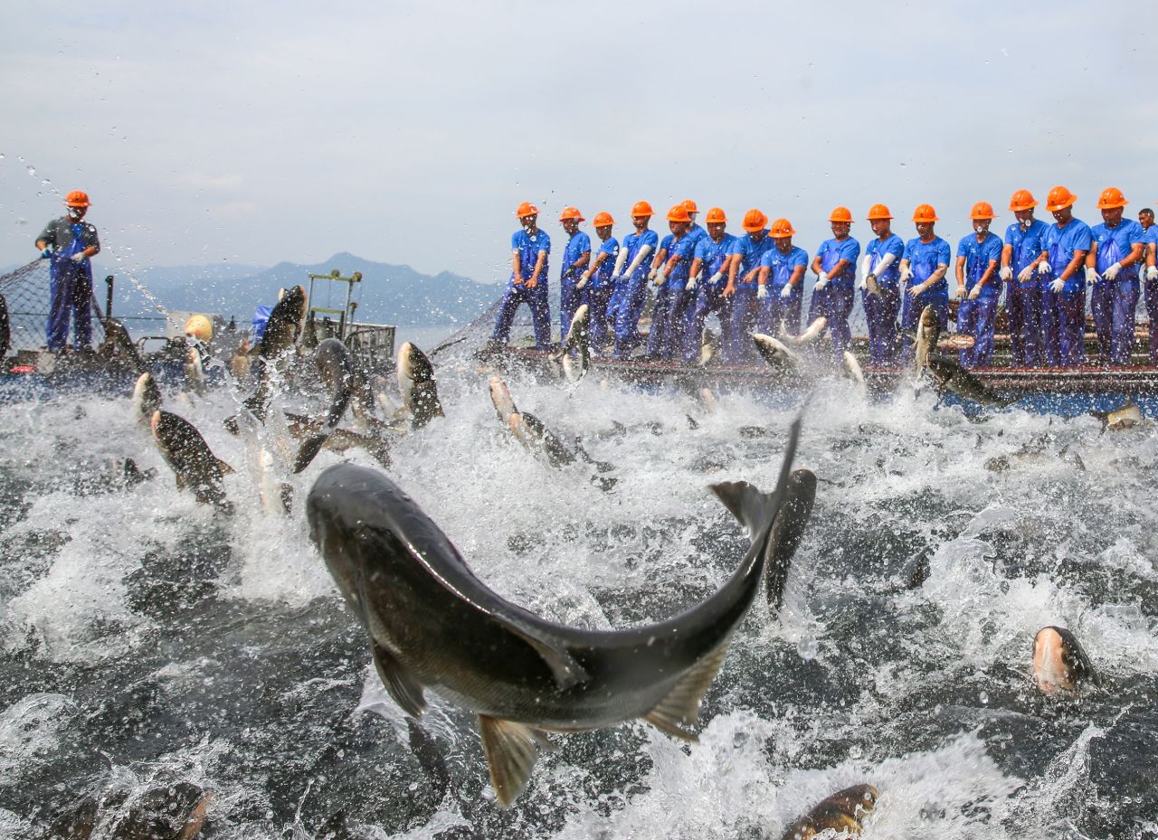 Fishermen pull a huge fishing net on Qiandao Lake during a harvest festival in Chun'an, China, on Thursday, September 22.