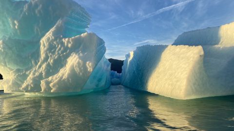 Aceste aisberguri s-au născut de la capătul ghețarului LeConte din Alaska.