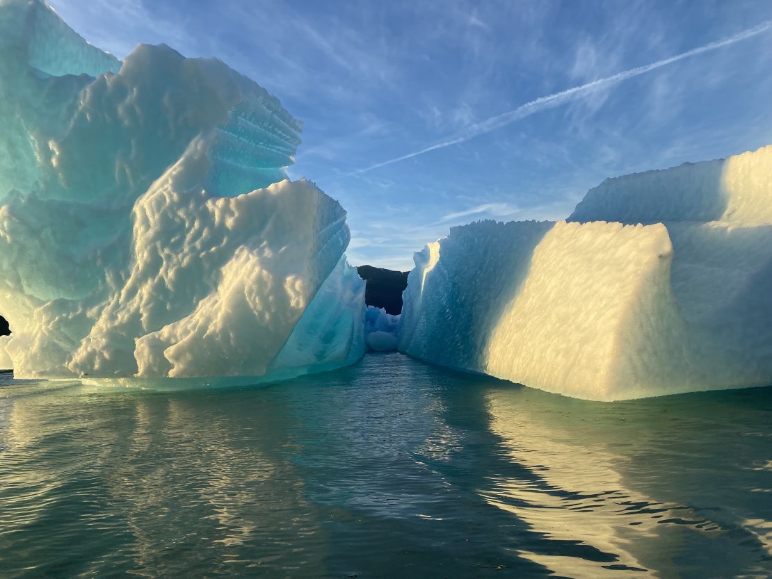 These icebergs have calved off the end of the LeConte Glacier in Alaska.