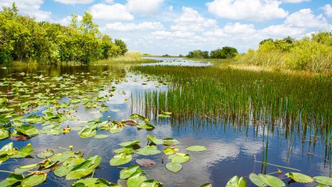 Portions of Everglades National Park reopened on Friday.