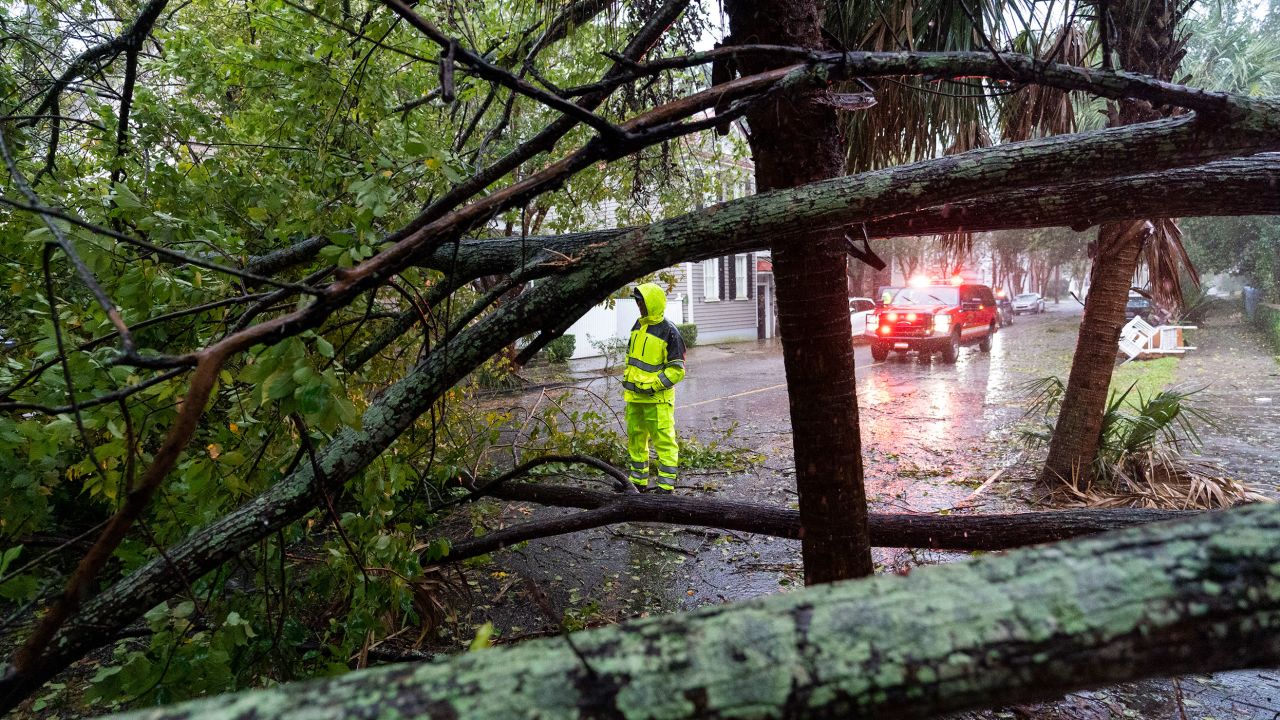 A firefighter examines a large tree across a road as the effects from Hurricane Ian are felt, Friday, Sept. 30, 2022, in Charleston, S.C. (AP Photo/Alex Brandon)