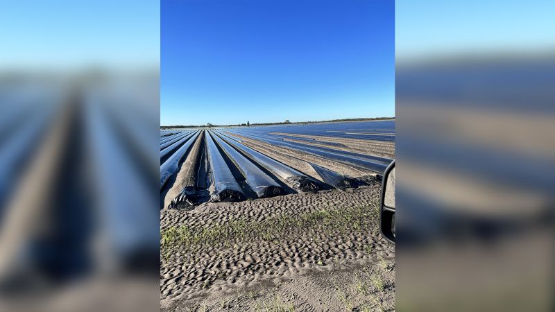 Florida farms are underwater and without power, pushing back critical planting season | CNN Business