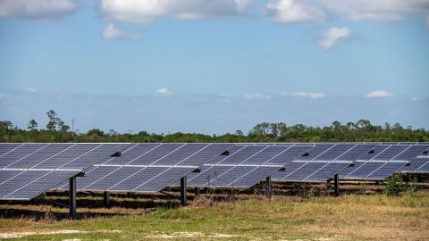 Around 700,000 solar panels power Babcock Ranch.