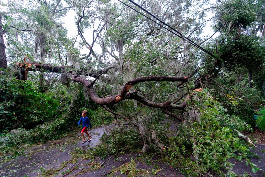 A child runs under a falling tree from the effects from Hurricane Ian, Friday in Charleston, South Carolina.