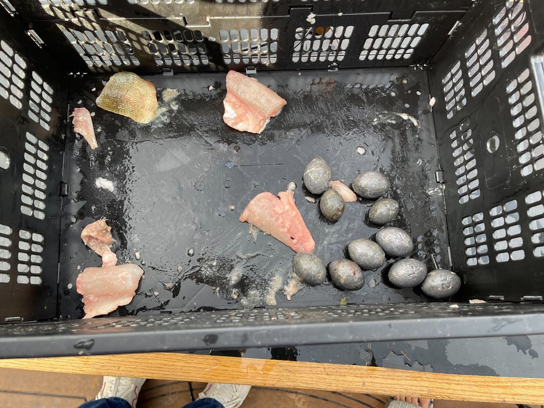 Lead weights and fish filets were found inside the team's catch.