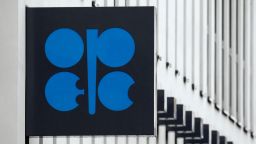 The logo of the Organization of the Petroleum Exporting Countries (OPEC) in Vienna March 16, 2010. 