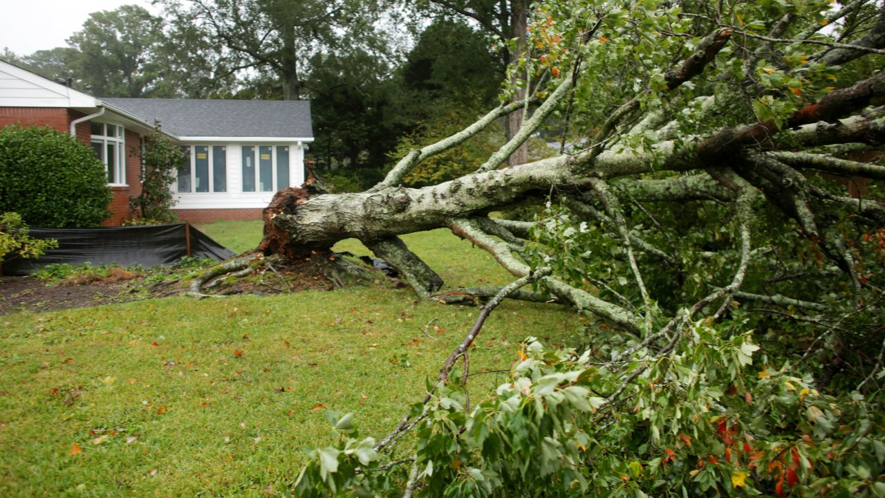 A tree is seen down in the Thoroughgood neighborhood of Virginia Beach during severe weather on Friday, September 30.