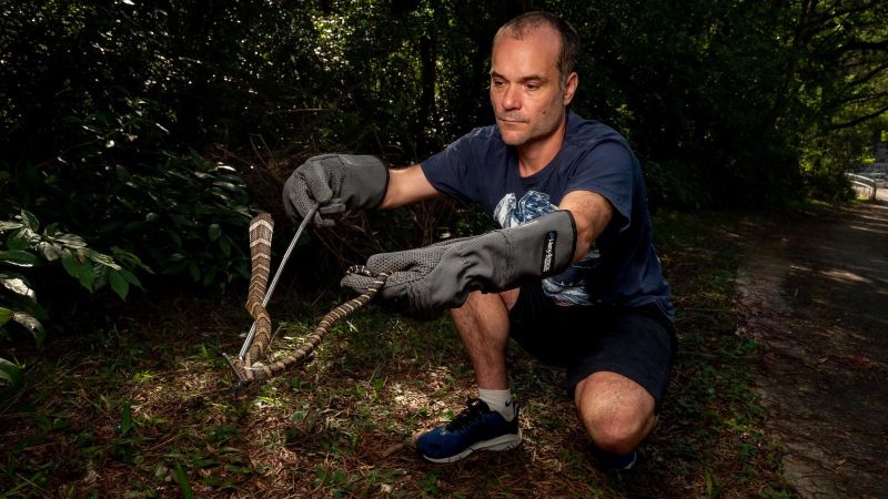 Experiencing Hong Kong’s snake safari