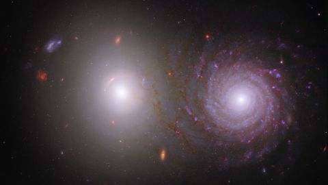 El telescopio espacial James Webb y el telescopio espacial Hubble contribuyeron a esta imagen del par de galaxias VV 191.  Webb observó la galaxia elíptica más brillante (izquierda) y la galaxia espiral (derecha) en luz infrarroja cercana, mientras que Hubble recopiló datos en luz visible y ultravioleta.