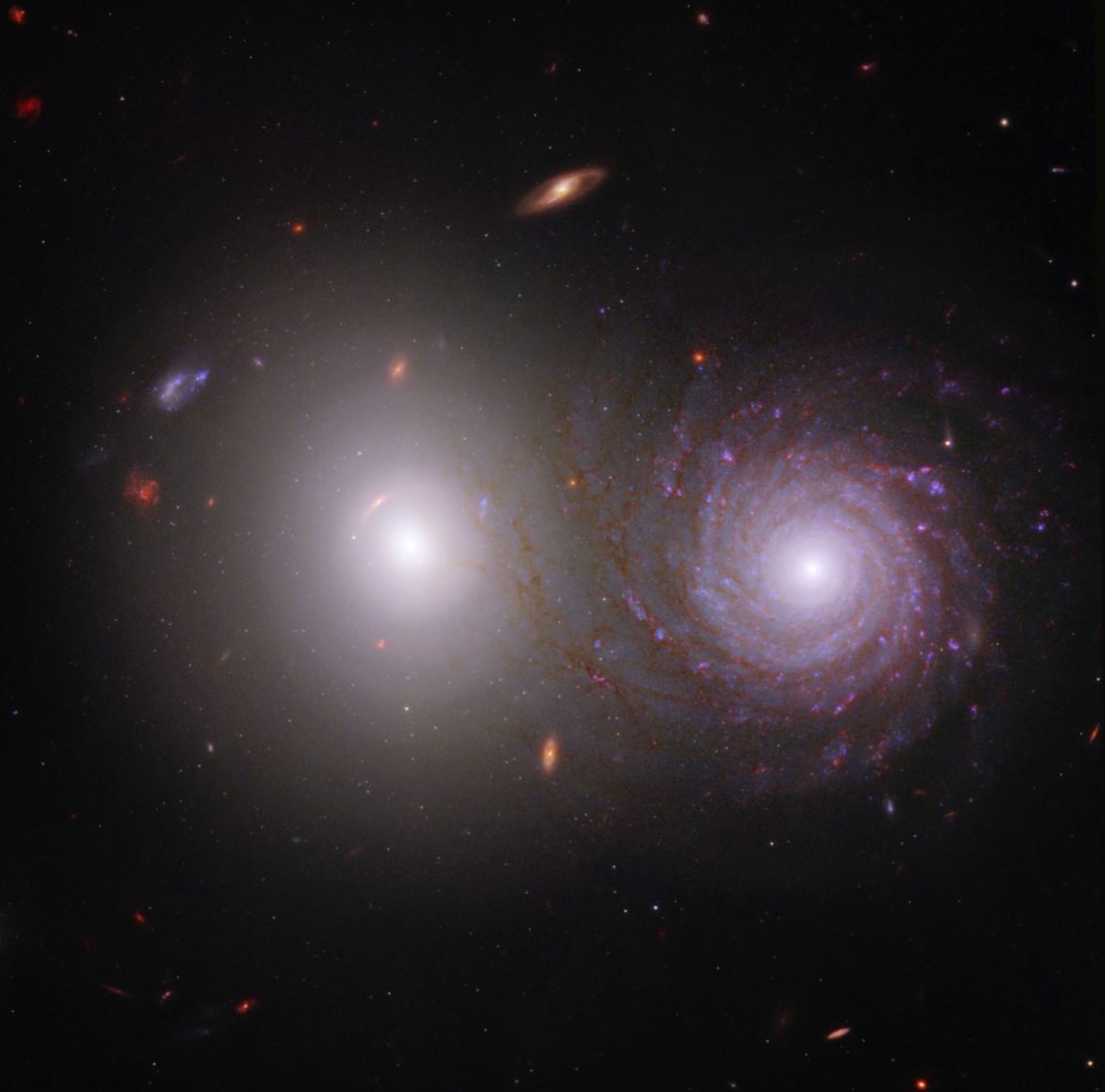 The James Webb Space Telescope and Hubble Space Telescope contributed to this image of galactic pair VV 191. Webb observed the brighter elliptical galaxy (left) and spiral galaxy (right) in near-infrared light, and Hubble collected data in visible and ultraviolet light.