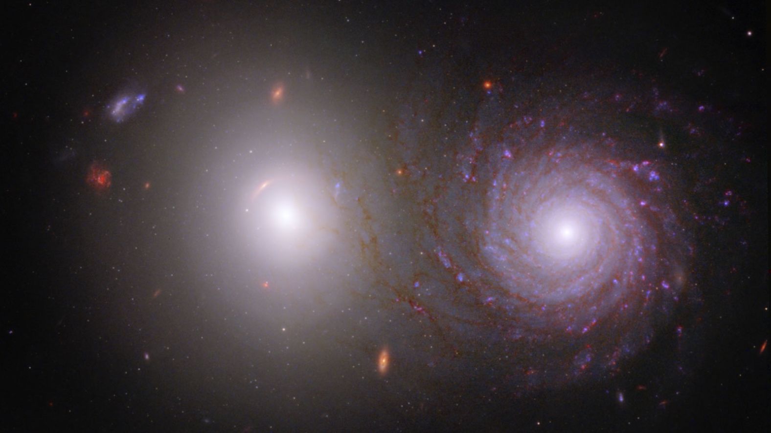 The James Webb Space Telescope and Hubble Space Telescope contributed to this image of galactic pair VV 191. Webb observed the brighter elliptical galaxy (left) and spiral galaxy (right) in near-infrared light, and Hubble collected data in visible and ultraviolet light.