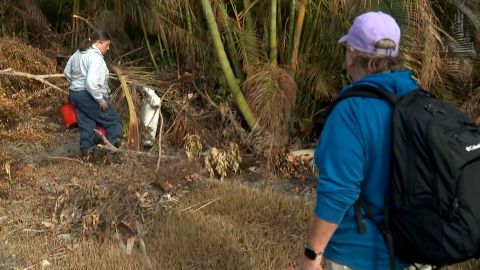 Julie Emig and Vicki Paskaly look at their displaced mailbox amid the destruction outside of their home one week after Hurricane Ian pummeled Sanibel Island.