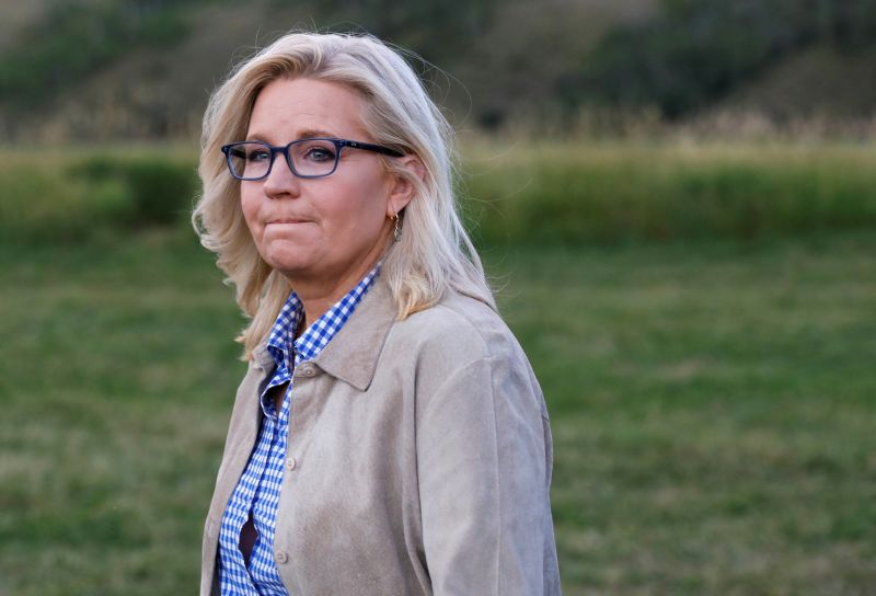 Liz Cheney's Dire Warning About Future Elections | CNN Politics