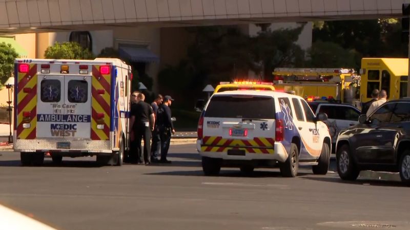 A suspect is in custody after 2 people are killed, 6 others wounded in series of stabbings in front of Las Vegas casino, police say