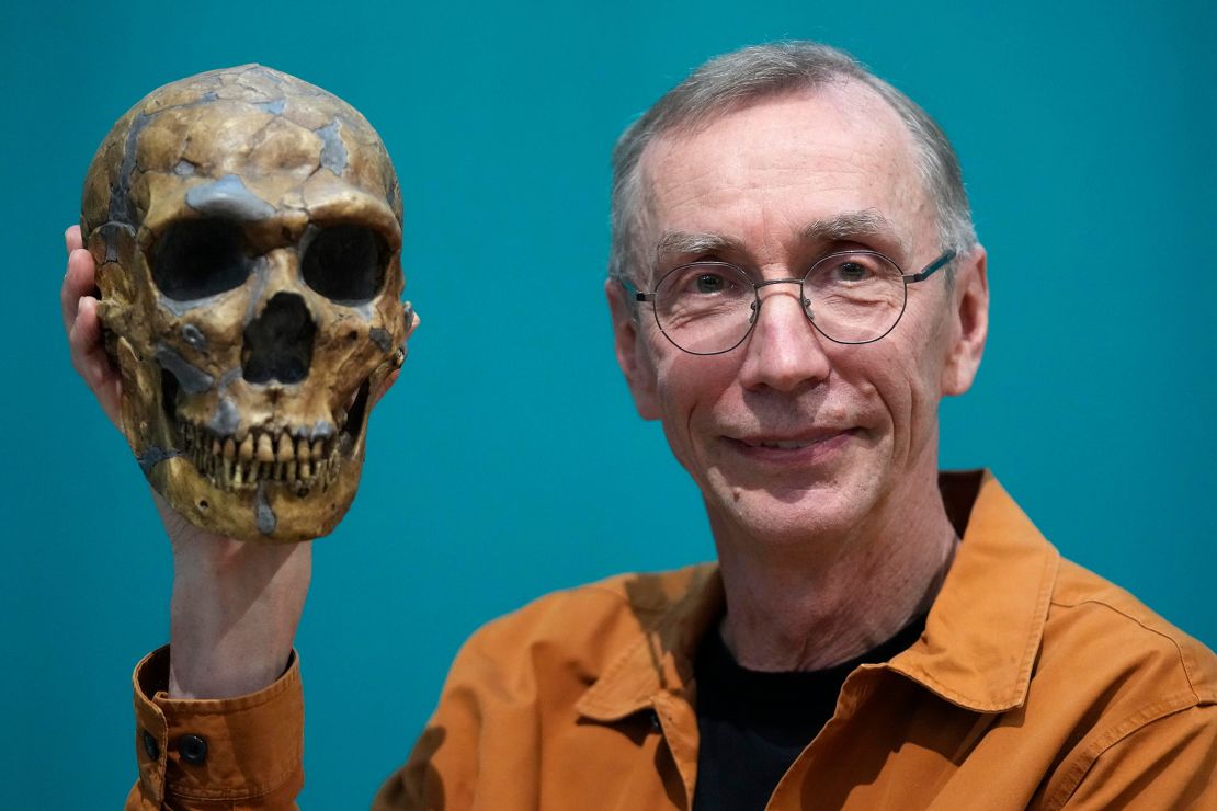 Swedish scientist Svante Pääbo displays a replica of a Neanderthal skeleton.