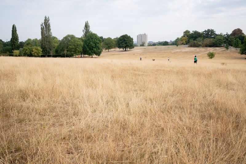 Heat Killed The Most People In The UK This Summer Since Records Began ...