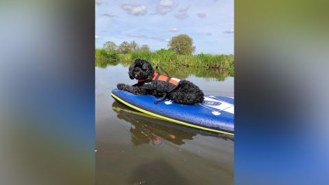 Cuando no está recogiendo balones perdidos, a Marlo le gusta andar en kayak.