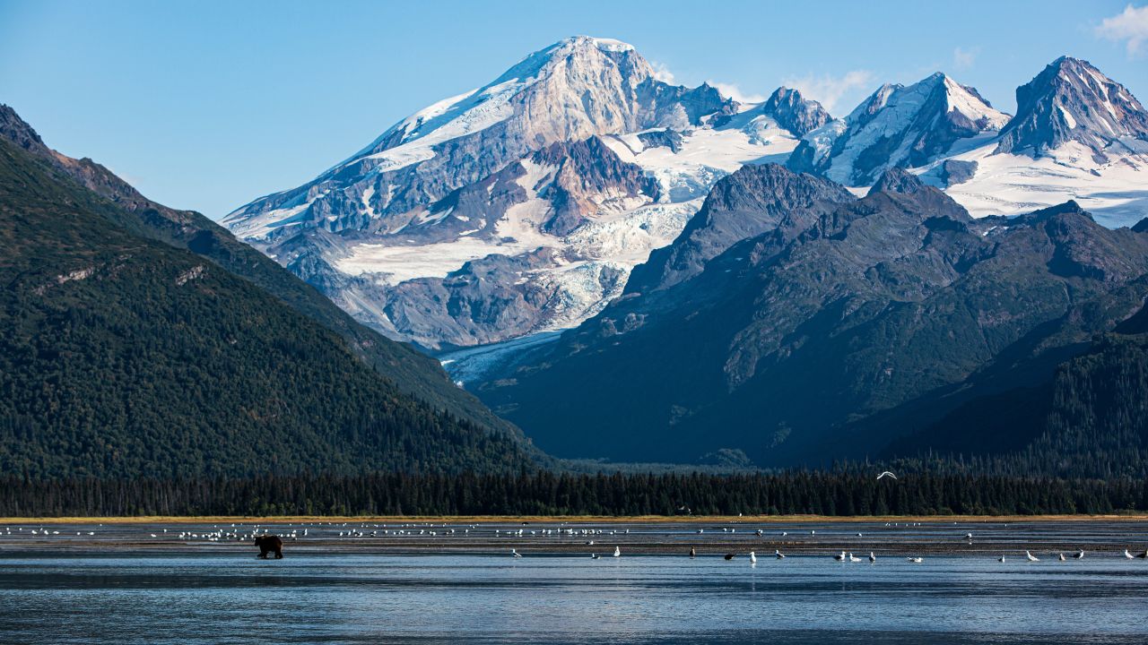 The Cook Inlet in Alaska.