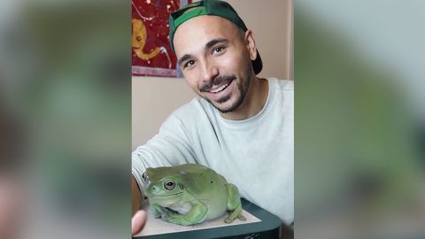 Lucas Peterson posted two videos of his pet frog enlarged with video editing that gathered millions of views and confused comments about whether the animal's size was real.