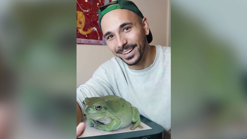 Dumpy, the giant frog that went viral on TikTok, is actually fake — well, kinda | CNN