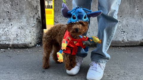 Disney Stitch Space Suit Dog and Cat Costume