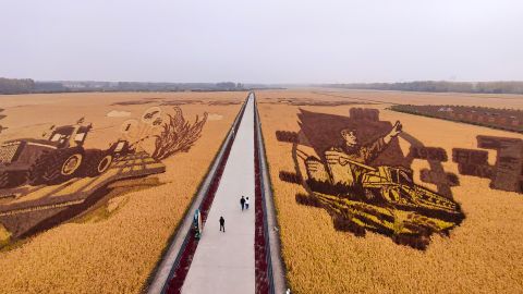 Tourists watch paddy field painting at an agricultural demonstration area during the National Day holiday on October 2, 2022 in Harbin, Heilongjiang Province of China.
