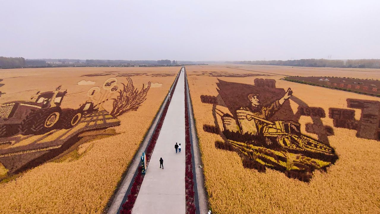 Tourists watch paddy field painting at an agricultural demonstration area during the National Day holiday on October 2, 2022 in Harbin, Heilongjiang Province of China. 