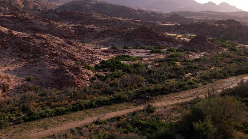 In these arid landscapes, elephants travel huge distances to find water points.