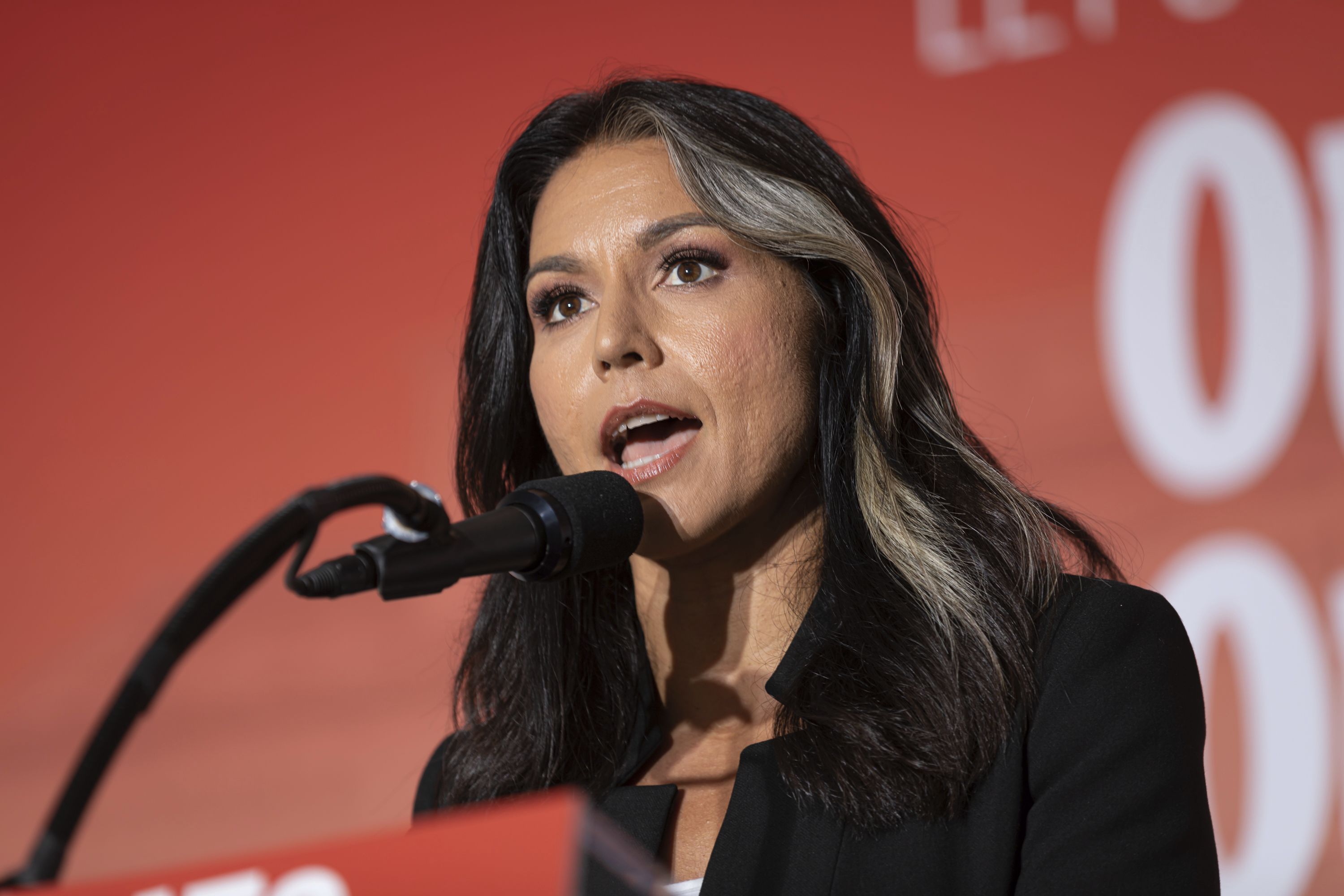 Who Is Tulsi Gabbard's Husband? All You Need To Know!