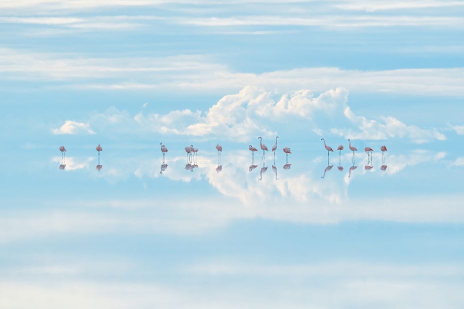 Japanese photographer Junji Takasago captured this dream-like scene, called "Heavenly flamingos," in Bolivia. Photographed high in the Andes, Salar de Uyuni is the world's largest salt pan and home to a large lithium mine.