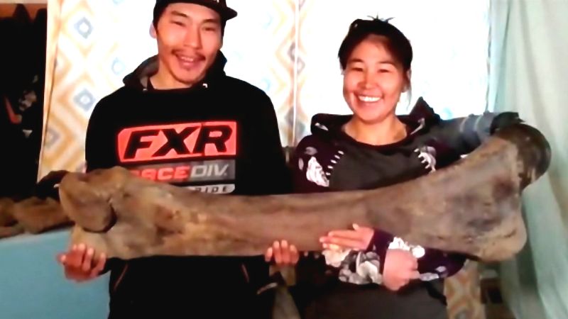 Couple makes mammoth discovery on hike    | CNN