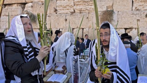 Ultra-Orthodox Jewish men, wearing traditional Jewish prayer shawls known as Tallit and holding the four plant species of closed date palm tree fronds, citrus, myrtle and willow-branches as they perform the annual Cohanim prayer (priest's blessing) during the holiday of Sukkot, or the Feast of the Tabernacles, at the Western Wall in the old city of Jerusalem on Wednesday.  