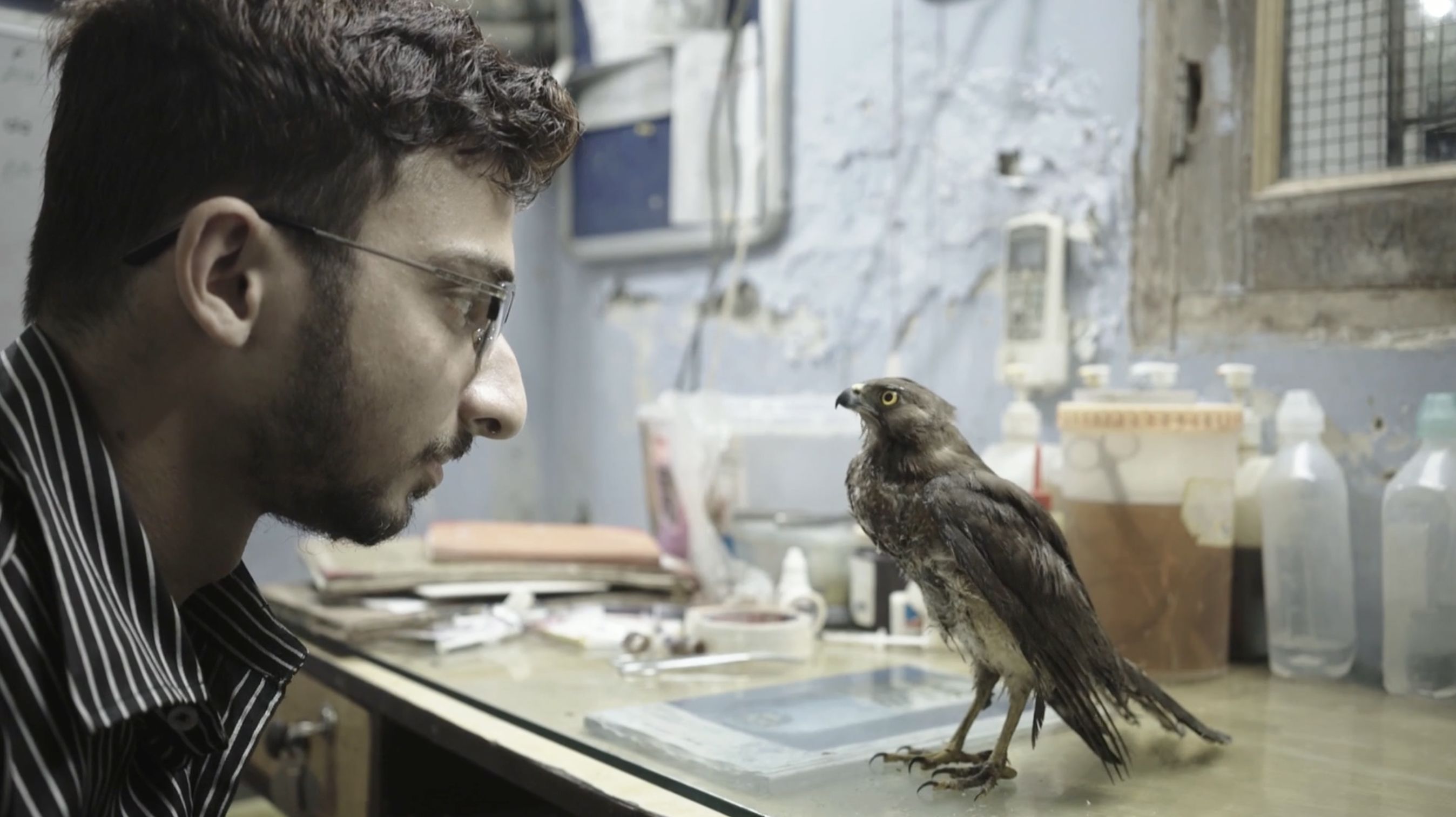 All That Breathes': Delhi's bird saviors become the subject of a hit  documentary | CNN