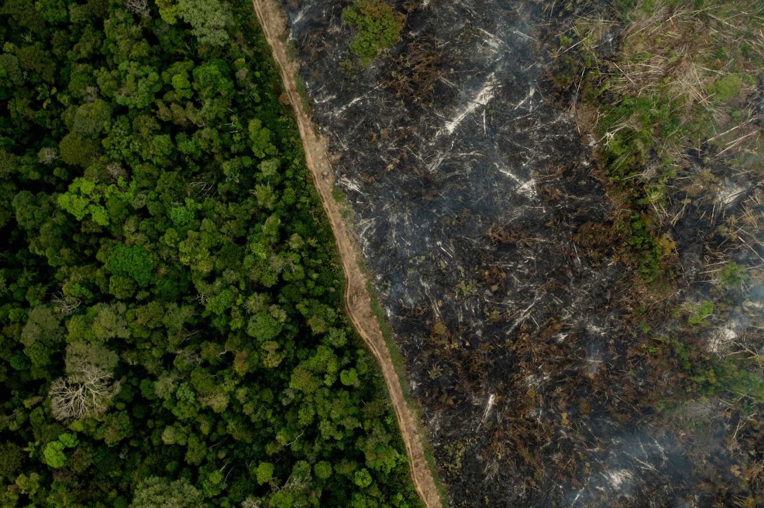 An aerial view of a burnt area of the Amazonia rainforest in September 2021. 