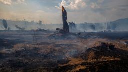 View of a burnt area of forest in Altamira, Para state, Brazil, oin the Amazon basin, on August 27, 2019.
