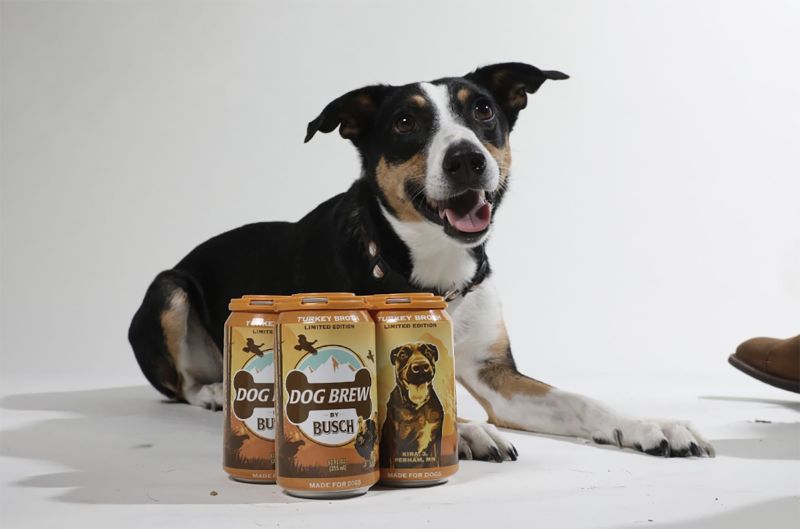 dog brews by busch