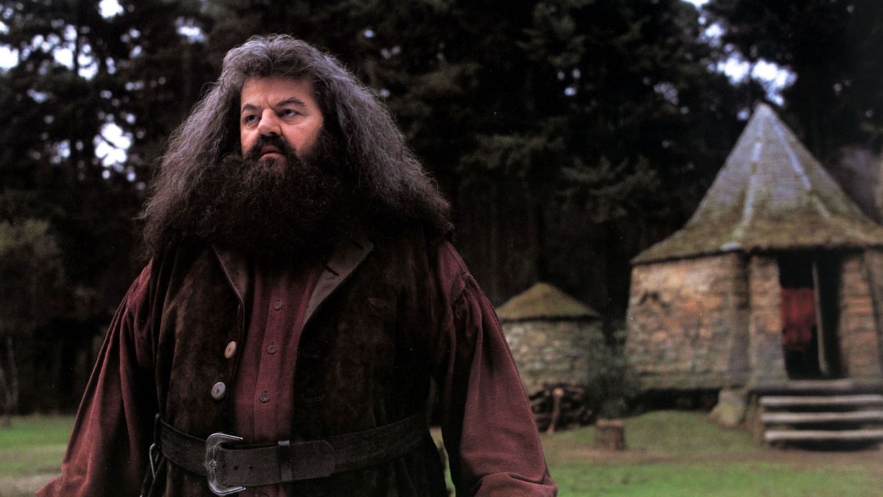 Robbie Coltrane appears as Hagrid in "Harry Potter and the Philosopher's Stone." 
