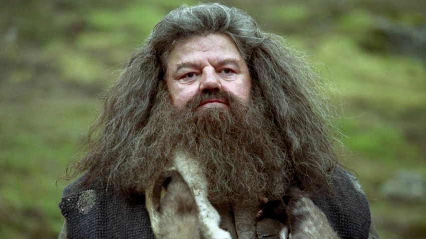 Robbie Coltrane Hagrid