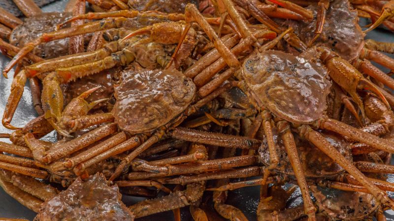 Billions of snow crabs have disappeared from the waters around Alaska. Scientists say overfishing is not the cause