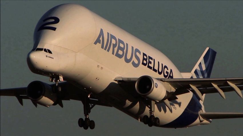 beluga airbus