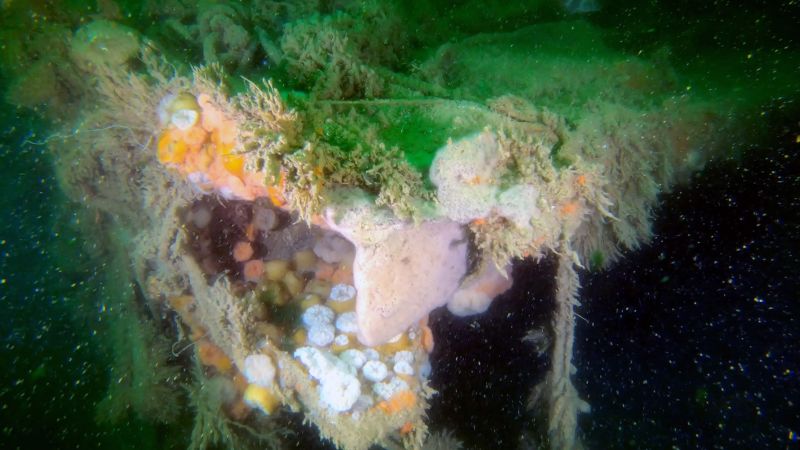 world-war-ii-shipwreck-still-pollutes-the-north-sea-s-ocean-floor-80-years-later-or-cnn