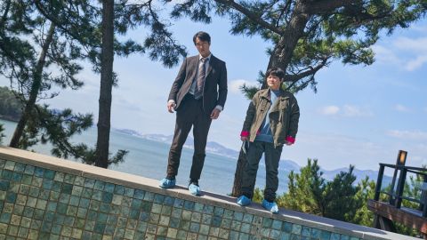 Park Chan-wook's tilted version of film noir subverts many of the genre's tropes.