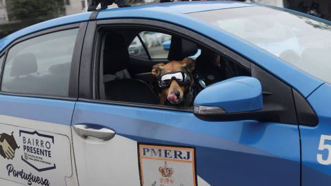 Brazil police rescue dog becomes internet sensation 4 Corporal Oliveira pictured in Rio de Janeiro on October 14.