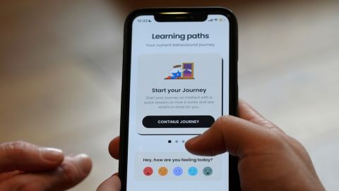 The app that Intellect developed proactively asks users how they feel at the moment. Mini
