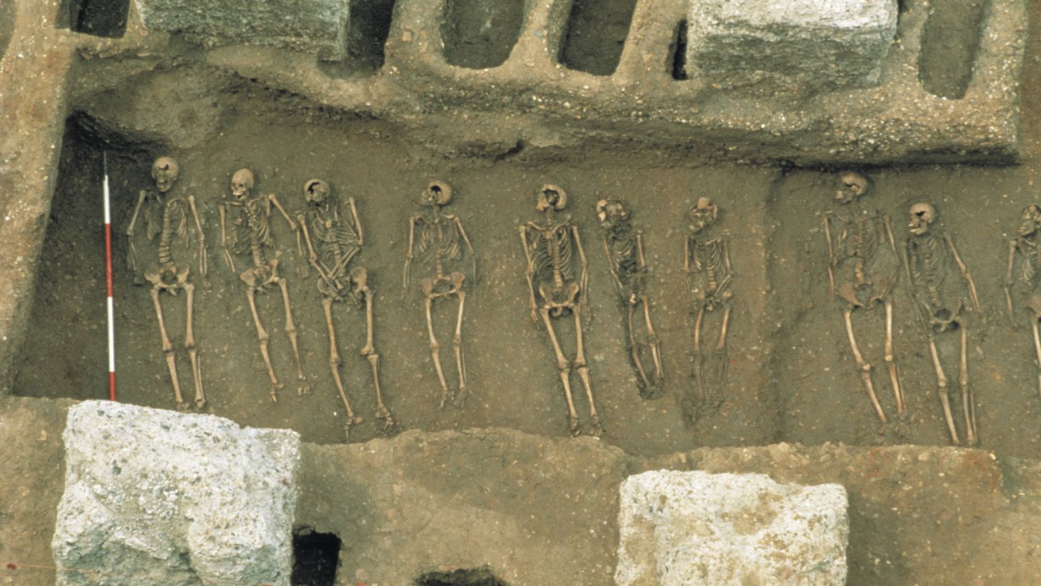 A plague burial pit in East Smithfield, London. Researchers analyzed DNA from the remains of people extracted from the pits, which were used for mass burials in 1348 and 1349 amid a plague outbreak in the city.
